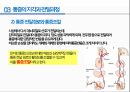 통증의지각과전달과정,통증의신경전달,통증신경회로,연관통증,근막통증후근,척수의신경로,오름조절,통증인지,전기치료 7페이지