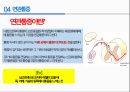 통증의지각과전달과정,통증의신경전달,통증신경회로,연관통증,근막통증후근,척수의신경로,오름조절,통증인지,전기치료 34페이지