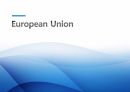 EU란,EU 탄생배경,EU 목표,EU 발전,EU의 정책영역,EU 조직개관,EU이사회,집행위원회 1페이지