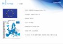 EU란,EU 탄생배경,EU 목표,EU 발전,EU의 정책영역,EU 조직개관,EU이사회,집행위원회 3페이지