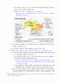 러시아의 군사전략 고찰(우크라이나 사태를 바탕으로)  3페이지