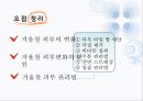 겨울철 피부관리 방법에 관한 발표자료 25페이지