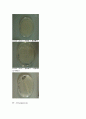 [환경] 화학 레포트 미생물 순수 분리 및 배양 4페이지