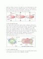 전자전기개론[전동기의 종류와 기본원리] 10페이지