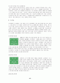 (A+ 레포트) 축구의 기술과 규칙 및 축구의 전술과 포지션 25페이지