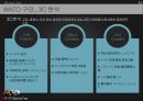 구단 소개,연혁,조직도,WATO SPORT 13페이지