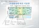 환경 조건,생물종의 선정기준,대기환경 지표종,토양환경 지표종,수질환경 지표종,기후온난화 11페이지