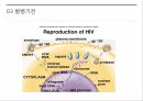 후천성 면역 결핍증,에이즈 증상,에이즈 발병,에이즈 치료,HIV 바이러스,HIV 감염경로,AIDS 치료제 13페이지