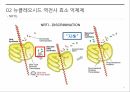 후천성 면역 결핍증,에이즈 증상,에이즈 발병,에이즈 치료,HIV 바이러스,HIV 감염경로,AIDS 치료제 19페이지