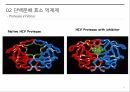 후천성 면역 결핍증,에이즈 증상,에이즈 발병,에이즈 치료,HIV 바이러스,HIV 감염경로,AIDS 치료제 27페이지