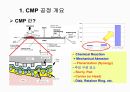 CMP 공정설명, 공정교육, 공정기술, 미래차세대CMP, 5페이지