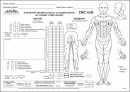 ASIA Scale (Americam Spinal Injury Association) 평가방법 16페이지