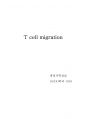[만점레포트] T cell migration 실험 과정 및 분석 방법 1페이지