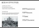 20세기연극과 동시대연극 - 독일 표현주의 드라마, 눈뜨는 봄 3페이지