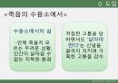 실존주의적 접근,프랭클의 의미치료,실존주의적 접근,실존주의 학자들,프랭클의 의미치료,매체에의 적용 8페이지