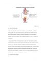 심장질환과 관련된 신장계 합병증 6페이지