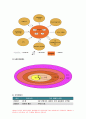 가족건강간호학 기말 1.우리나라의 노인학대가족 노인학대 발생현황 가족건강간호학 노인학대가족에 대한 사회정책과 간호학적 중재방안 2.본인 가족을 대상으로 가족간호과정 작성, 프리드만의 가족사정도구를 적용하여 가족구조, 가족기능과 가족발달단계 사정, 가계도, 외부체계도, 가족연대기, 사회지지체계도, 가족아프가사정도구, 최근 경험표 10페이지