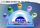 생각의 탄생 요약 발표자료, 13가지 생각도구, 관찰도구 요약 10페이지