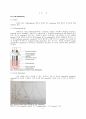 분석화학 기기분석 Cyclic Voltammetry 실험 보고서 (학부 수석의 레포트 시리즈) 2페이지