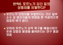 [광고론] 광고 속 성 상품화 사례 및 찬반론에 대한 분석 47페이지