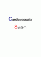 [해부학 A+] 심혈 관계(Cardiovascular System) 용어 정의 및 분석 1페이지