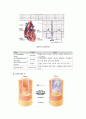 [해부학 A+] 심혈 관계(Cardiovascular System) 용어 정의 및 분석 6페이지