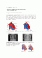 [해부학 A+] 심혈 관계(Cardiovascular System) 용어 정의 및 분석 7페이지
