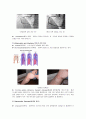 [해부학 A+] 심혈 관계(Cardiovascular System) 용어 정의 및 분석 13페이지