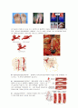 [해부학 A+] 심혈 관계(Cardiovascular System) 용어 정의 및 분석 14페이지