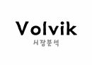 볼빅(Volvik) 시장분석 자사제품의분석 경쟁사의분석 1페이지
