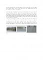 건축재료 보고서(외장재,내장재 종류 및 캐드) 4페이지