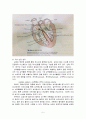 심혈관계 기능장애 아동 7페이지