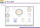 백신플랫폼 특징 [RNA백신,DNA백신,사백신,생백신,바이러스벡트,단백질] 6페이지