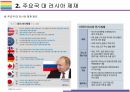 주요국 대 러시아 제재가 국내외 경제에 미치는 영향(푸틴,러시아,우크라,러시아-우크라,대러제재) 12페이지