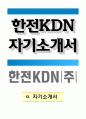 한전KDN 자기소개서 1페이지