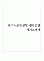 한국노동연구원 청년인턴 합격 자기소개서 1페이지