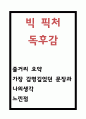 빅 픽처 줄거리 요약 및 가장 감명깊었던 문장과 나의생각과 빅 픽처 읽고 느낀점 - 빅픽처 독후감 1페이지