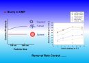 Project_CMP PROCESS IN LSI LOSIC_68장 13페이지