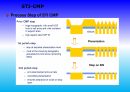 Project_CMP PROCESS IN LSI LOSIC_68장 24페이지