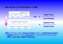 Project_CMP PROCESS IN LSI LOSIC_68장 28페이지