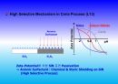 Project_CMP PROCESS IN LSI LOSIC_68장 29페이지