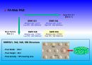 Project_CMP PROCESS IN LSI LOSIC_68장 33페이지