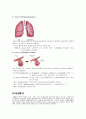 COPD 문헌고찰COPD(chronic obstructive pulmonary disease) 문헌고찰 5페이지