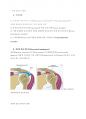 견봉하 충돌 증후군과 어깨 통증 2페이지