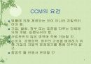 CCM 해외의 소비자불만 처리 사례 (소비자 불만 자율관리, CCM, 소비자중심경영인증, 한국소비자원, 배스킨라빈스, 던킨도너츠, Consumer Centered Management) 6페이지