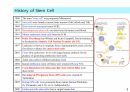 성체줄기세포 치료법, 성체줄기세포 사업, 성체줄기세포의 임상 적용 3페이지