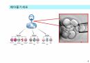 성체줄기세포 치료법, 성체줄기세포 사업, 성체줄기세포의 임상 적용 4페이지