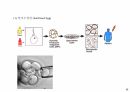 성체줄기세포 치료법, 성체줄기세포 사업, 성체줄기세포의 임상 적용 6페이지