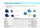 성체줄기세포 치료법, 성체줄기세포 사업, 성체줄기세포의 임상 적용 11페이지