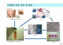성체줄기세포 치료법, 성체줄기세포 사업, 성체줄기세포의 임상 적용 22페이지